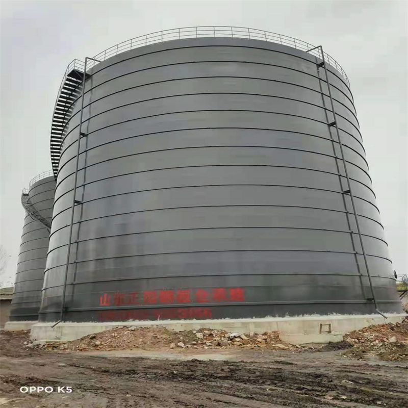 昭化3万吨大型钢板库