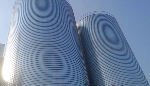 昭化2座混凝土高架卷板仓